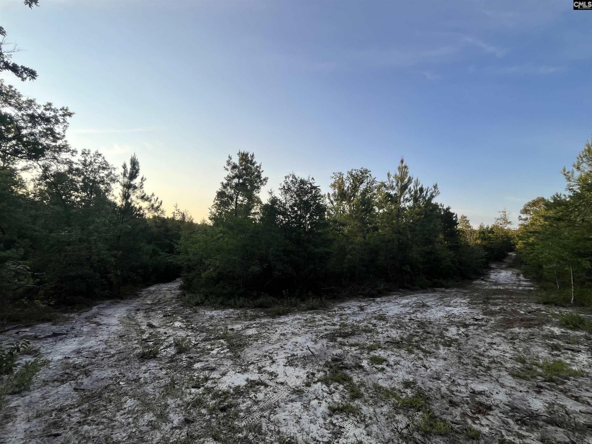 590 Springwood Lane  Photo 31
