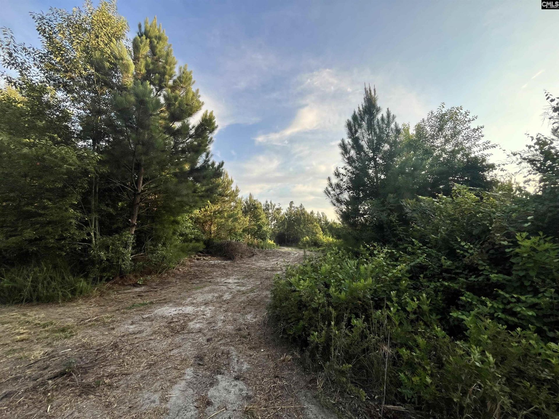 590 Springwood Lane  Photo 8