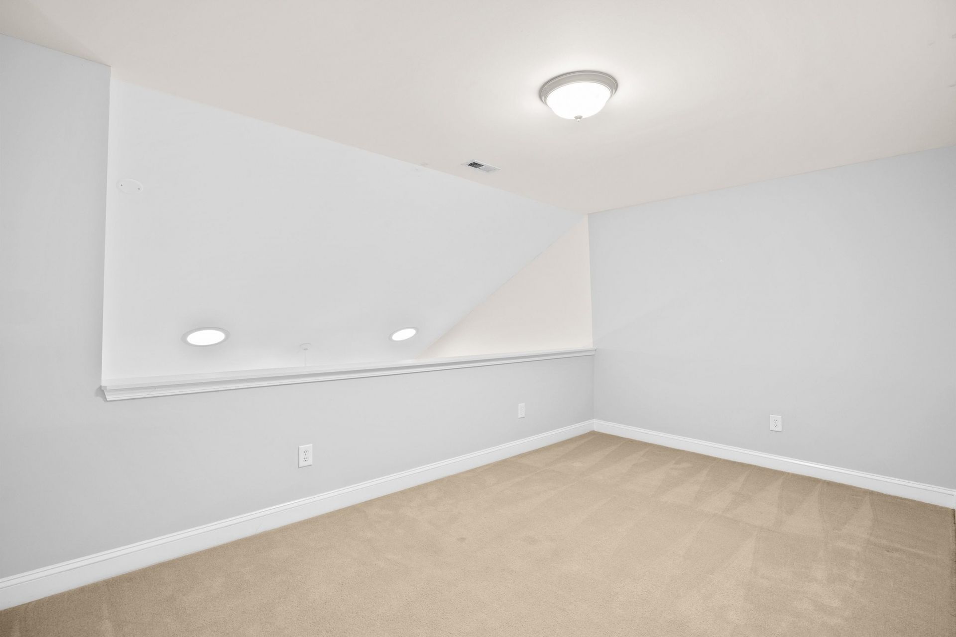 714 Botany Loop Photo 37