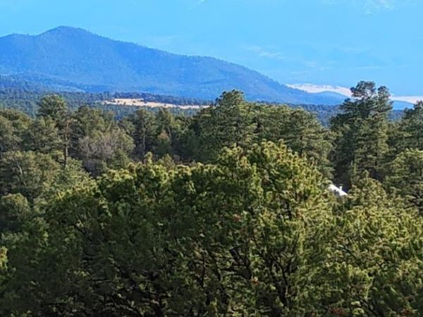 1105 Owens Ln, Cotopaxi, CO 81252