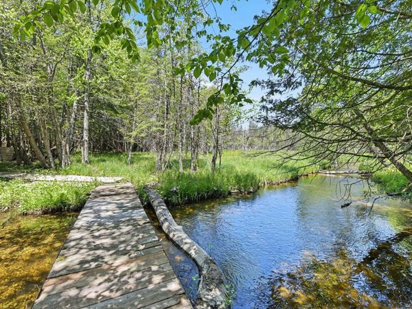 5218 Mitchell Road, Central Lake, MI 49622