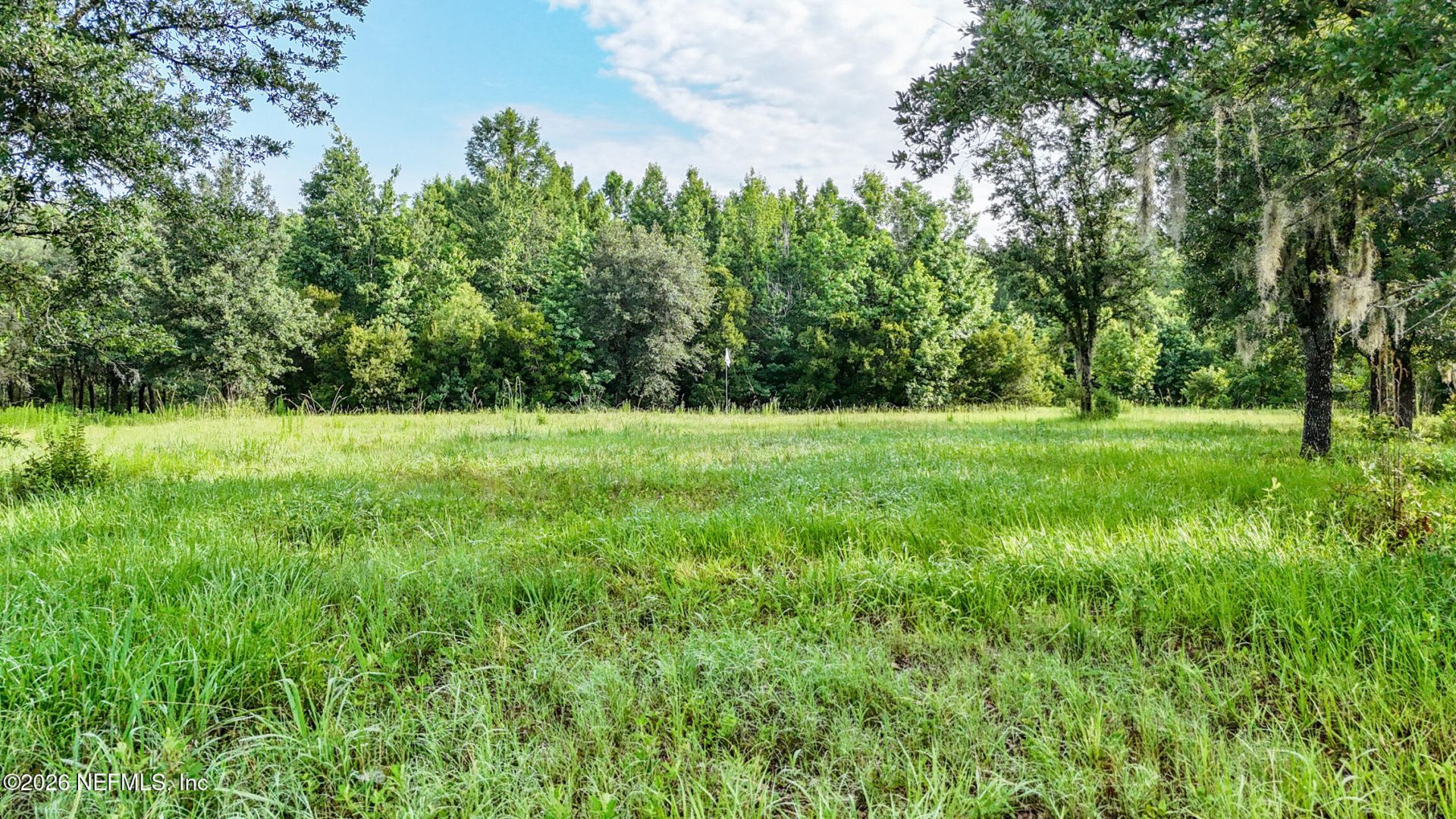 11185 Little Trout Way, Jacksonville, FL 32219 Photo