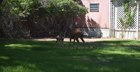2880 Dori Way, Carson City, NV 89706 Photo