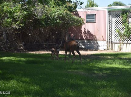 2880 Dori Way, Carson City, NV 89706 Photo