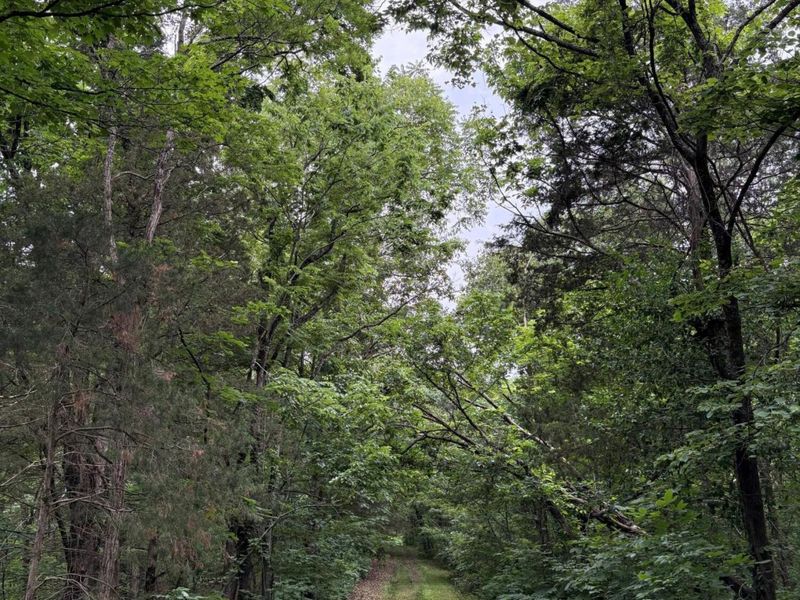 8025 Georgetown Road, Owenton, KY 40359 Photo 42