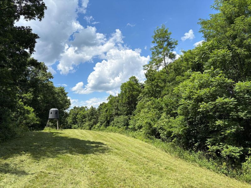 8025 Georgetown Road, Owenton, KY 40359 Photo 44