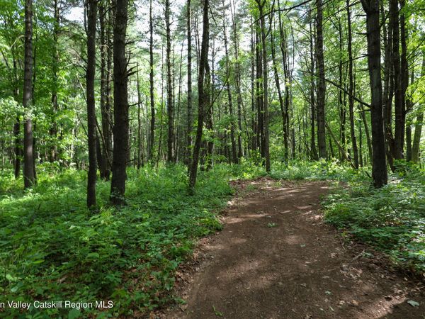Tbd Old Kings Road, Catskill, NY 12414