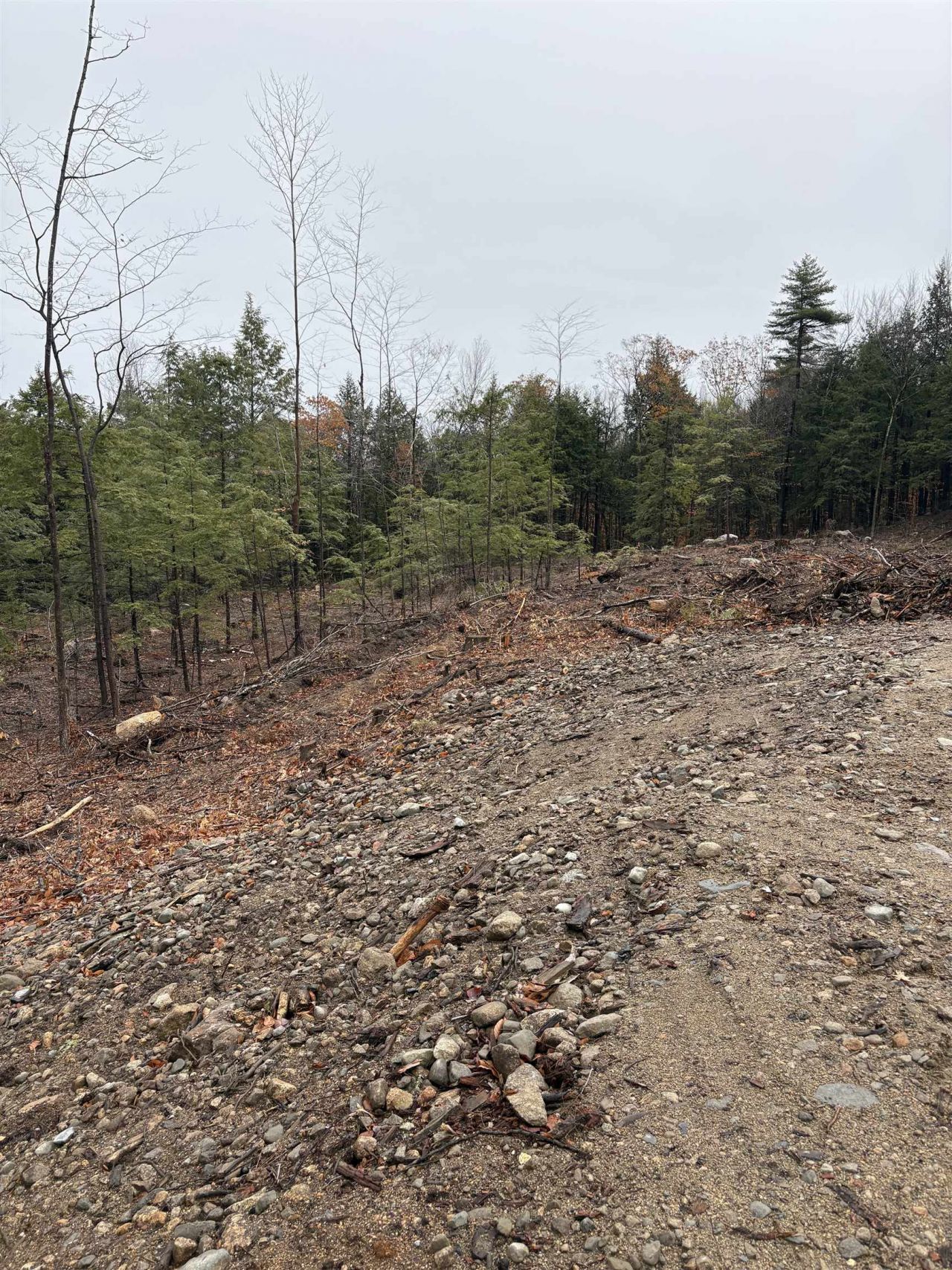 9 Sugarloaf Drive, Lot #9, Ossipee, NH 03814 Main Photo