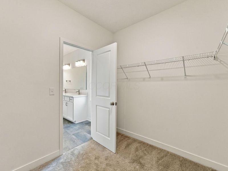 130 Swan Valley Place, Galena, OH 43021 Photo 38