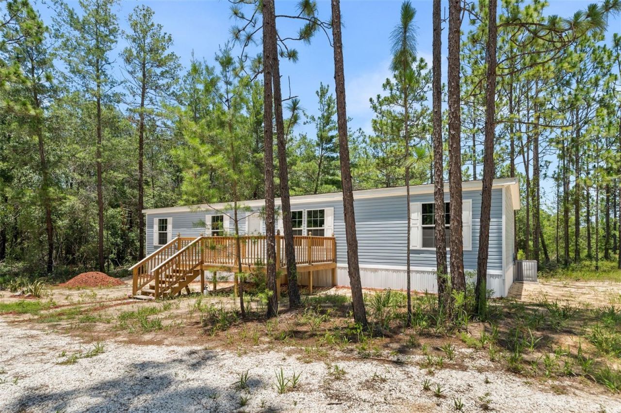 419 Lily Trail, Interlachen, FL 32148 Photo