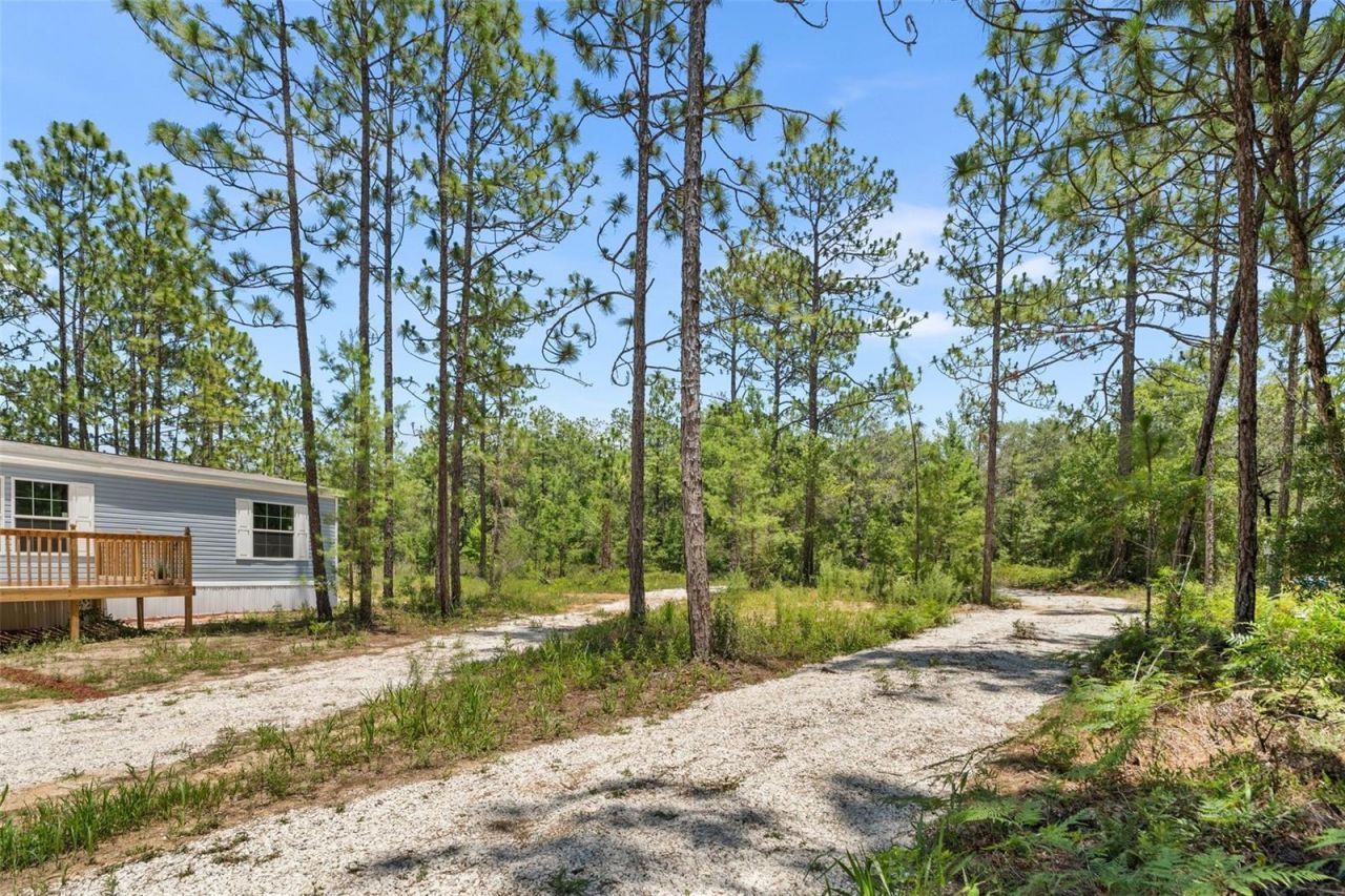 419 Lily Trail, Interlachen, FL 32148 Photo