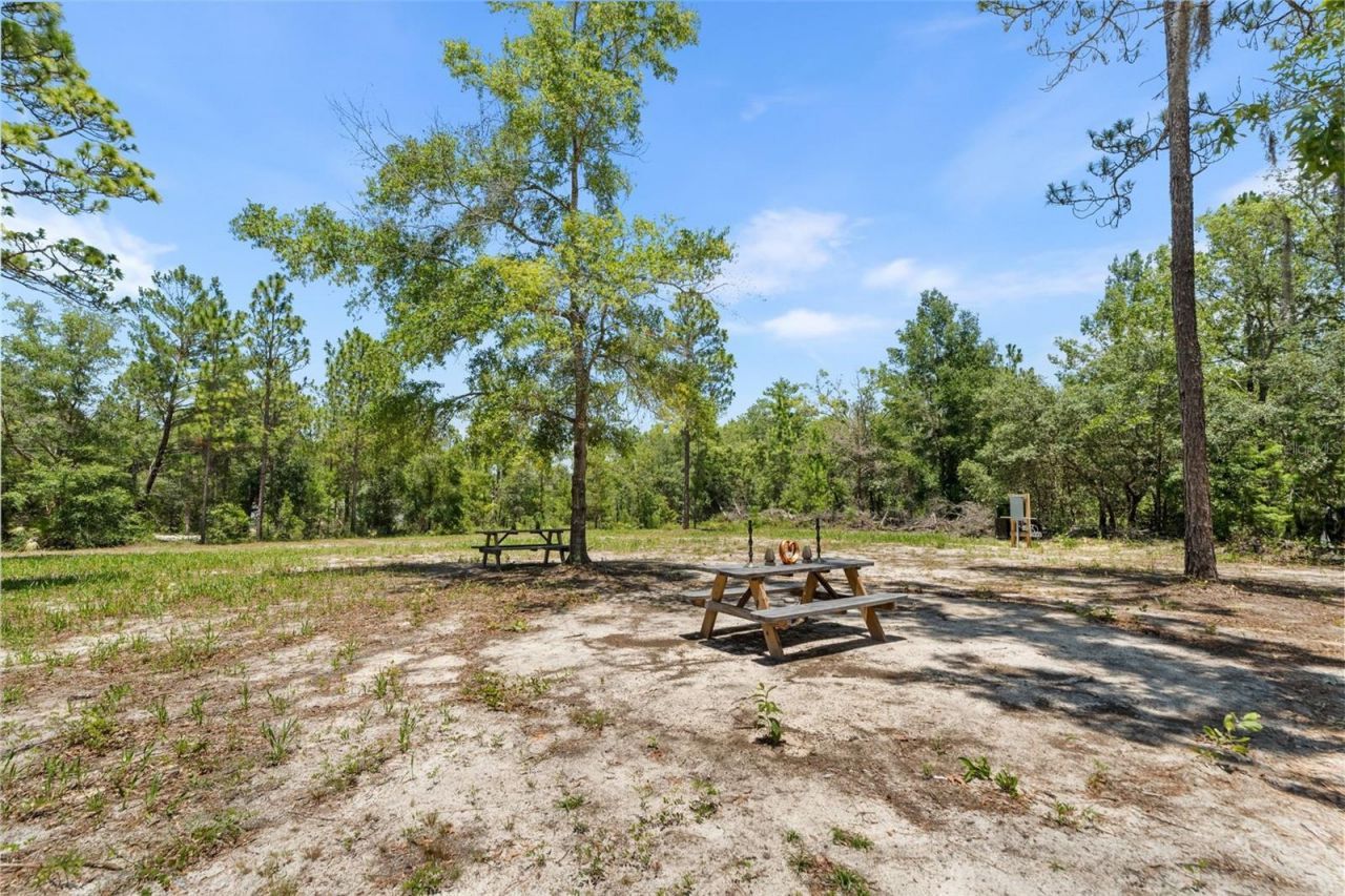 419 Lily Trail, Interlachen, FL 32148 Photo