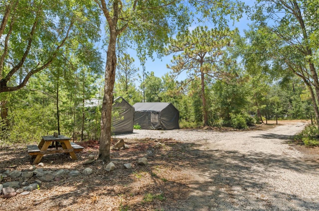 419 Lily Trail, Interlachen, FL 32148 Photo