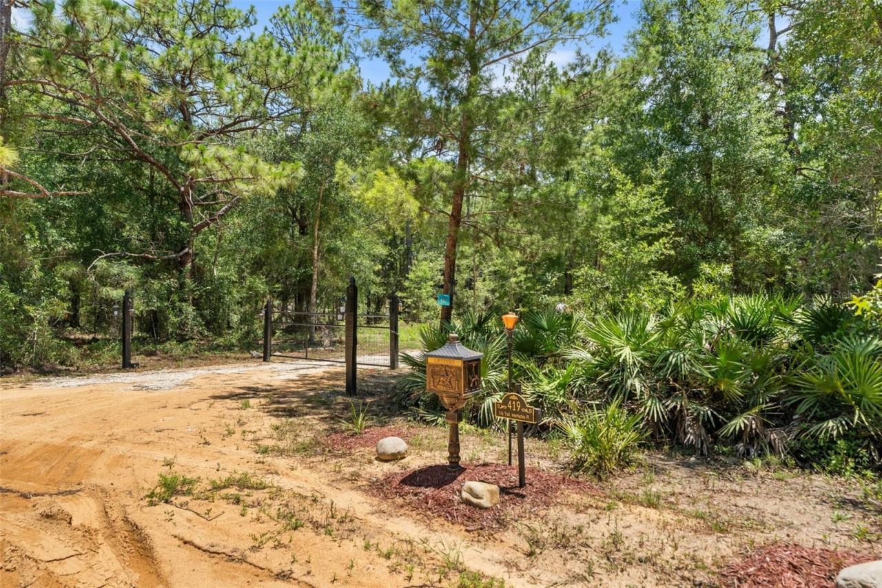 419 Lily Trail, Interlachen, FL 32148 Photo