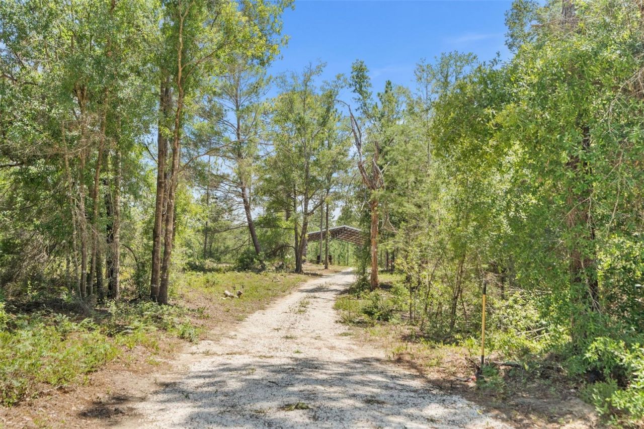 419 Lily Trail, Interlachen, FL 32148 Photo