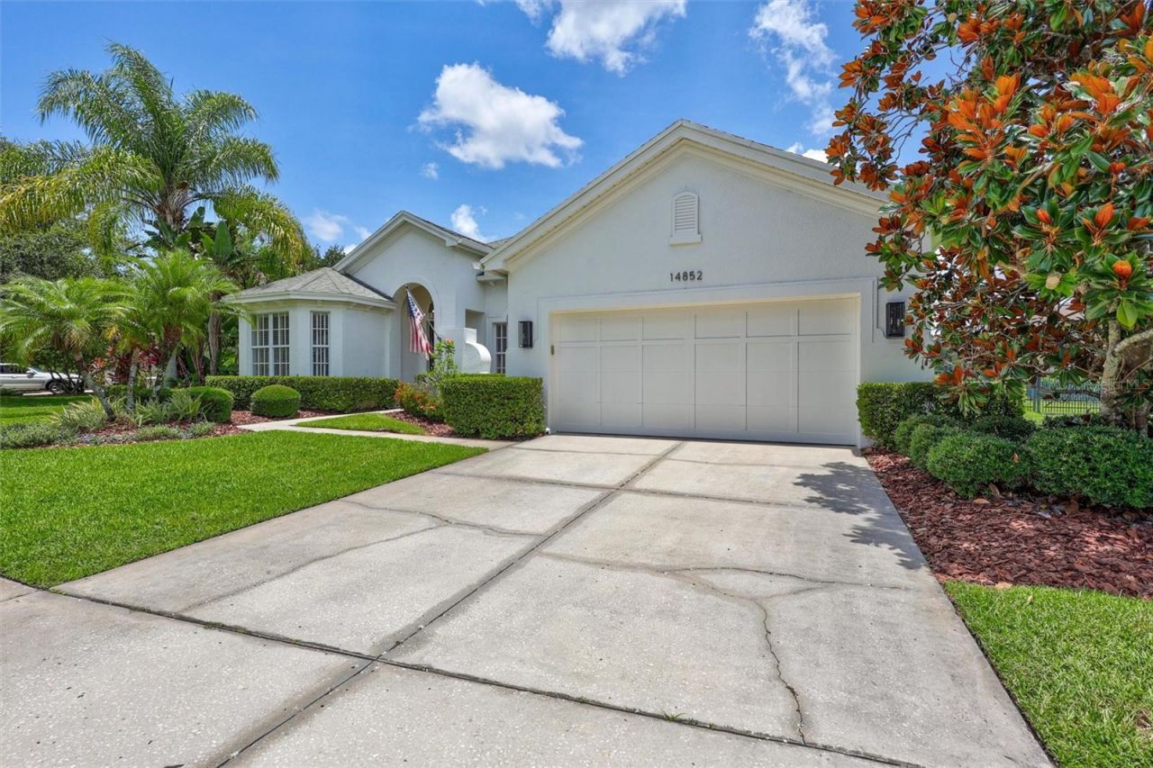 14852 Tudor Chase Drive, Tampa, FL 33626 Main Photo