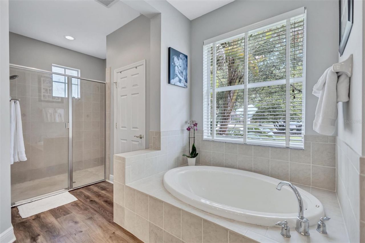14852 Tudor Chase Drive, Tampa, FL 33626 Photo