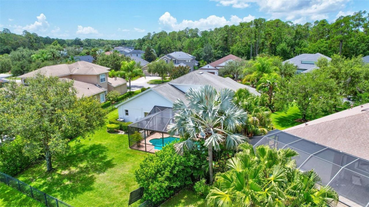 14852 Tudor Chase Drive, Tampa, FL 33626 Photo