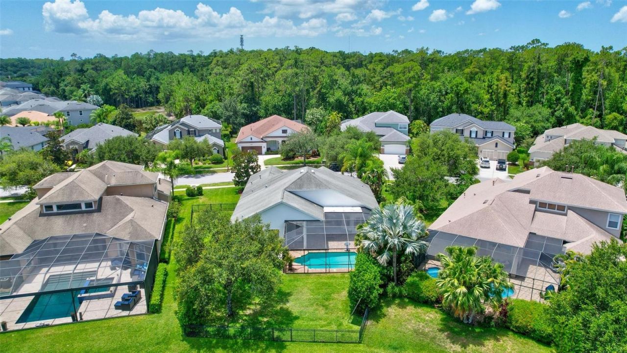 14852 Tudor Chase Drive, Tampa, FL 33626 Photo