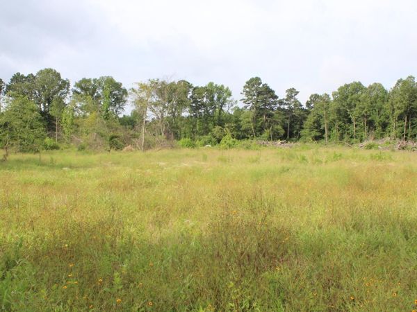 1442 Schaal Road , Mineral Sprs., AR 71851