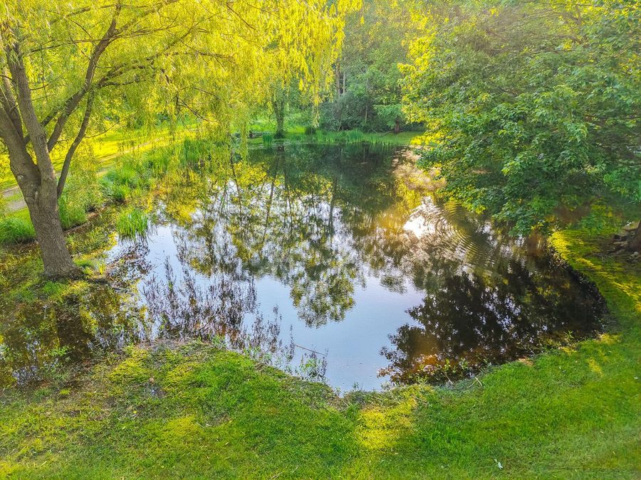 Property Image 77
