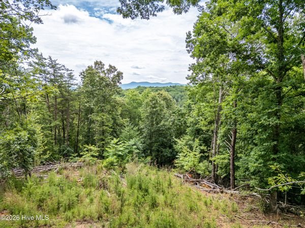 1 Stormy Ridge , Brasstown, NC 28902