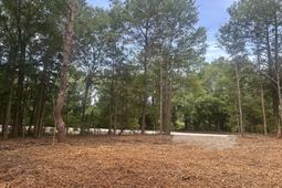 10 Francis Marion Boulevard photo 4