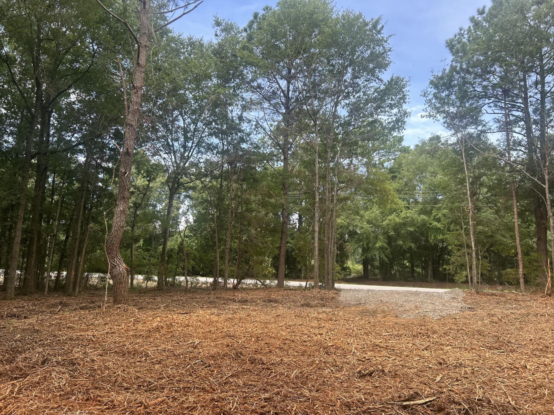 10 Francis Marion Boulevard Photo 9