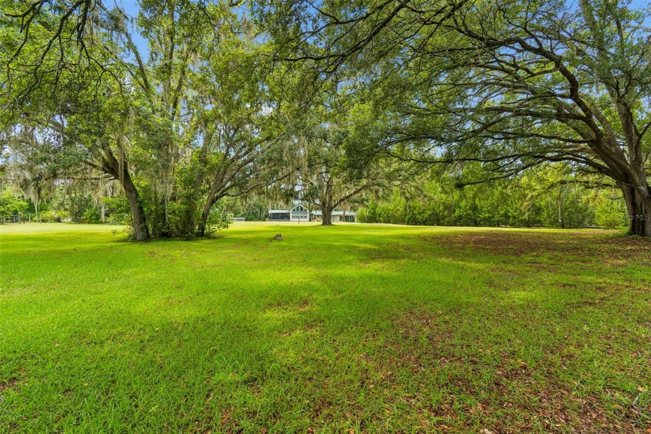 11094 SW 51st Drive , Webster, FL 33597 Photo