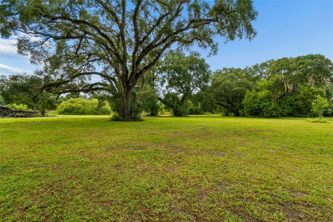 11094 SW 51st Drive , Webster, FL 33597 Photo