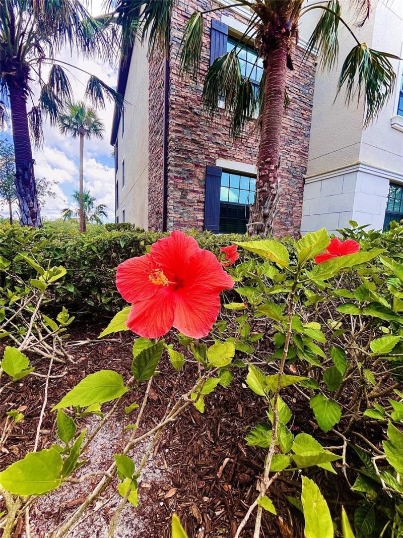 17108 Vardon Terrace, Unit 401, Bradenton, FL 34211 Photo