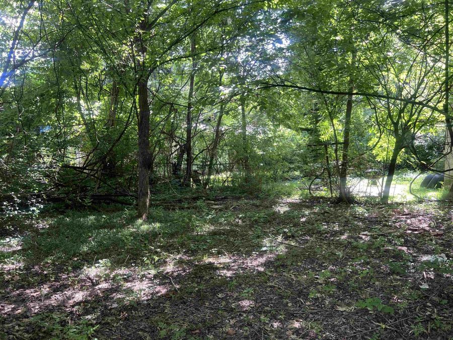 Property Image 31