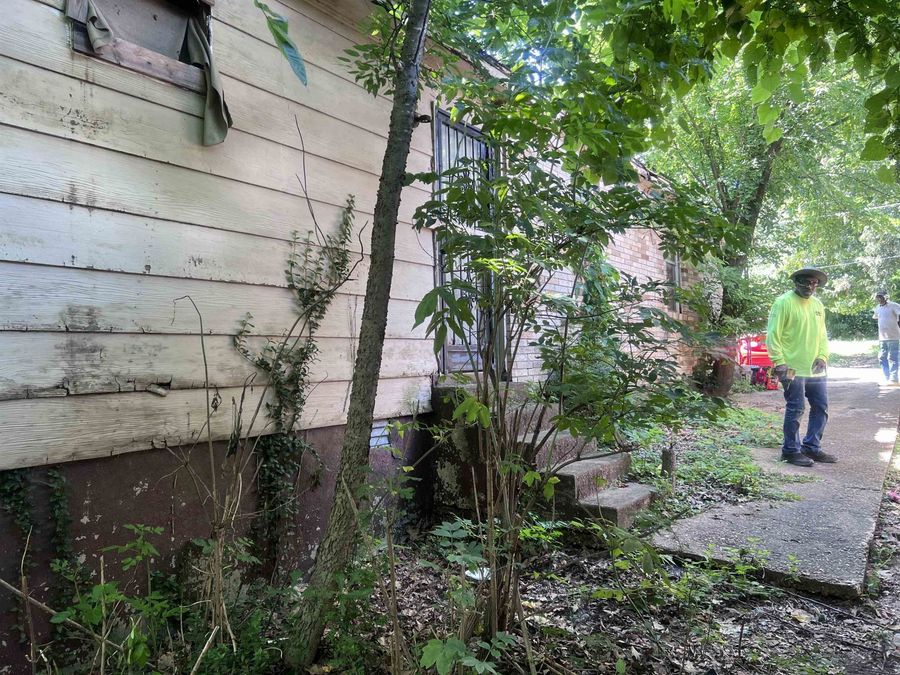 Property Image 37