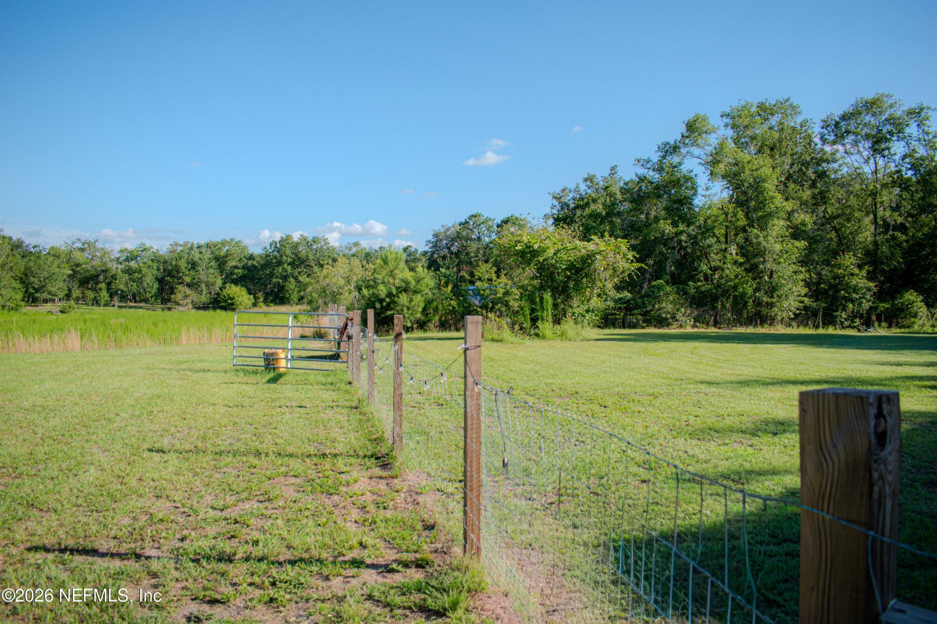 8301 SW 45th Place, Lake Butler, FL 32054 Photo
