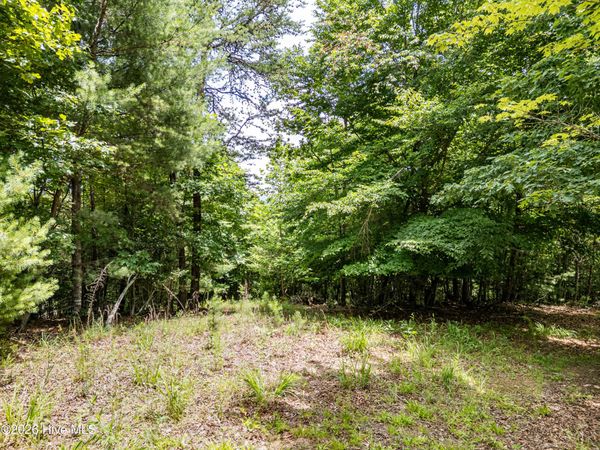 2 Stormy Ridge , Brasstown, NC 28902