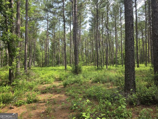 0 Colby Drive, Dublin, GA 31021