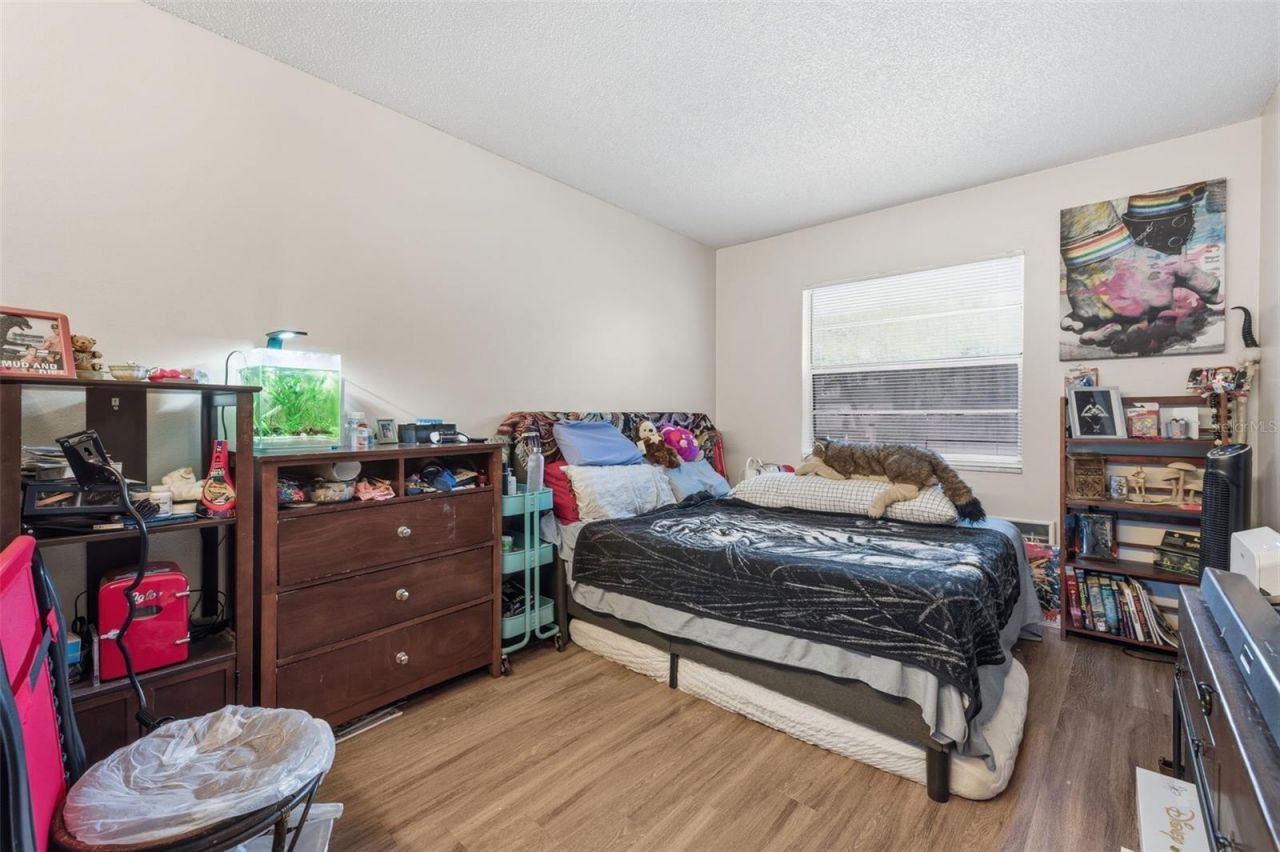 2601 61st Avenue N, Saint Petersburg, FL 33714 Photo