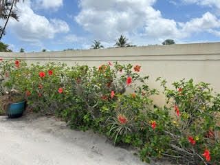 2900 Cuyahoga Lane, West Palm Beach, FL 33409 Photo