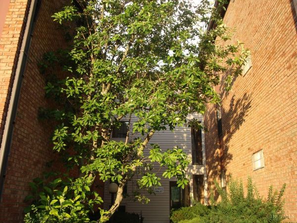 4901 Chalet Drive, Unit 303, Cincinnati, OH 45217