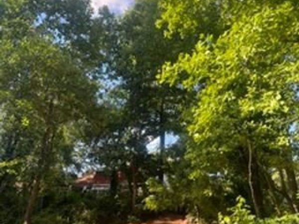 7800 W SHORE ROAD , PASADENA, MD 21122