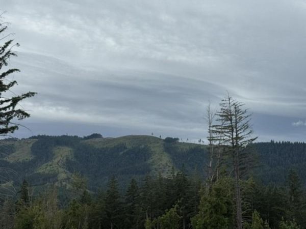 5595 Violet Dr, Sheridan, OR 97378
