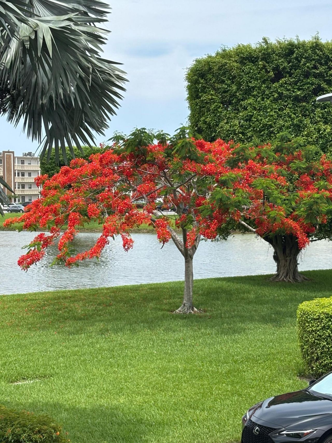 2038 Exeter C, Boca Raton, FL 33434 Photo