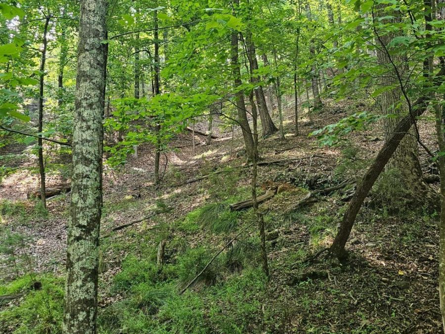 Property Image 7