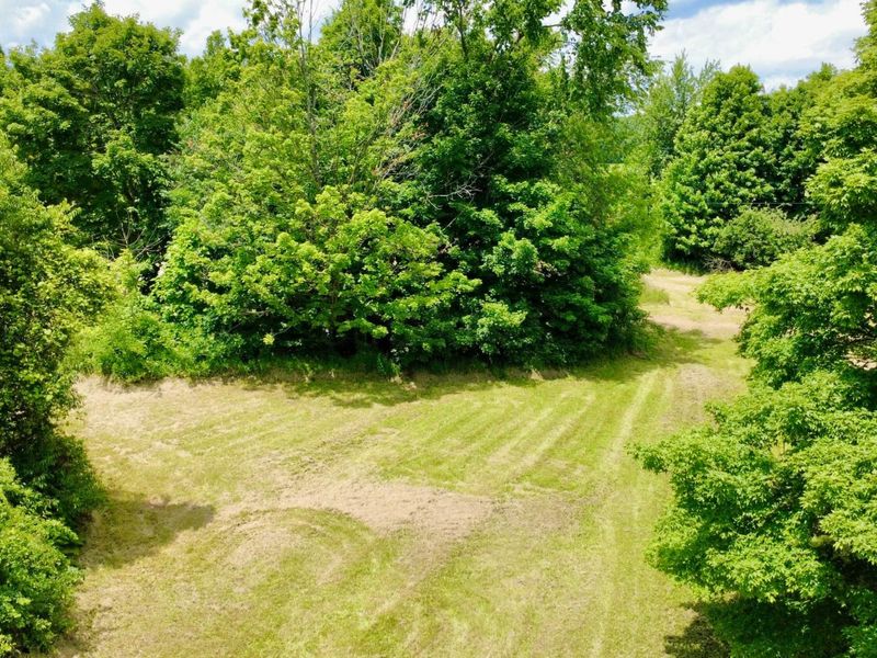 6574 U.S. 42, Mount Gilead, OH 43338 Photo 3