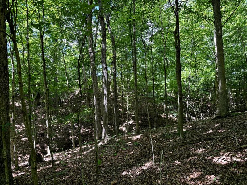 0 Cutlip St , Unit (Tract 6 a, Jackson, OH 45640 Photo 10