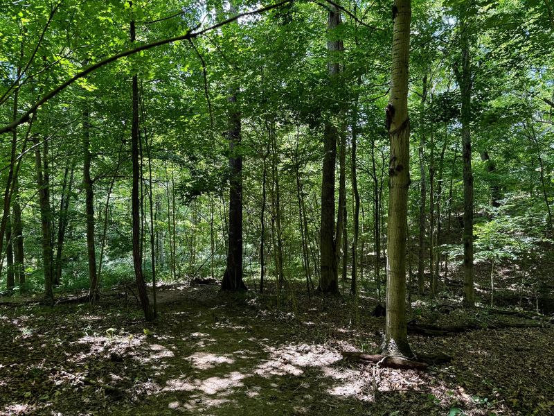 0 Cutlip St , Unit (Tract 6 a, Jackson, OH 45640 Photo 11