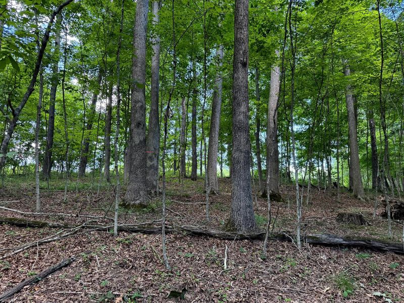 0 Cutlip St , Unit (Tract 6 a, Jackson, OH 45640 Photo 14