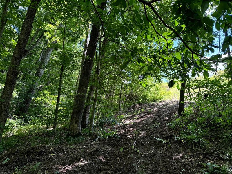 0 Cutlip St , Unit (Tract 6 a, Jackson, OH 45640 Photo 15