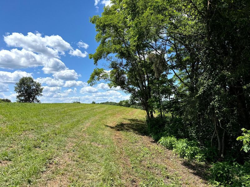 0 Cutlip St , Unit (Tract 6 a, Jackson, OH 45640 Photo 16