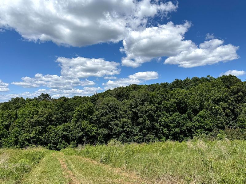 0 Cutlip St , Unit (Tract 6 a, Jackson, OH 45640 Photo 17